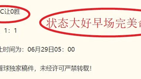 2026独家解析世界杯焦点战：厄瓜多尔对抗德国，能否成功逆袭